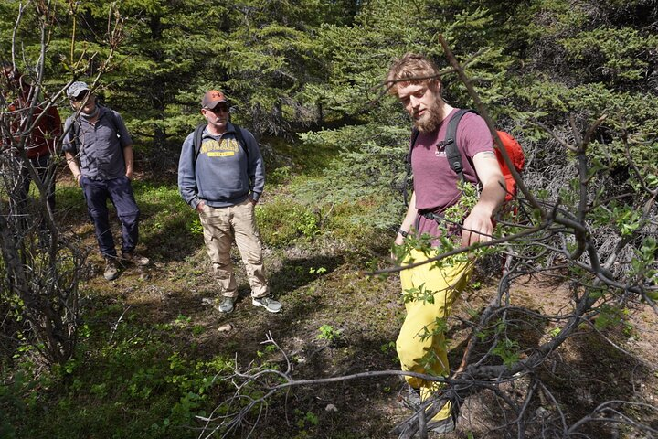 Denali Off-Trail Hiking Adventure (4 Hours) w/Expert Naturalist - Photo 1 of 5